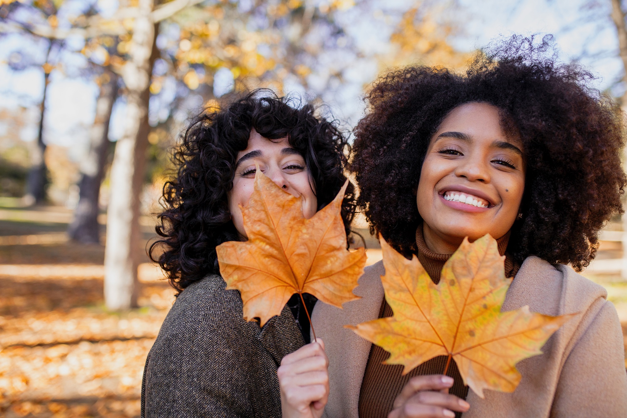 Smiling friends holding dry maple leaf while standing at park