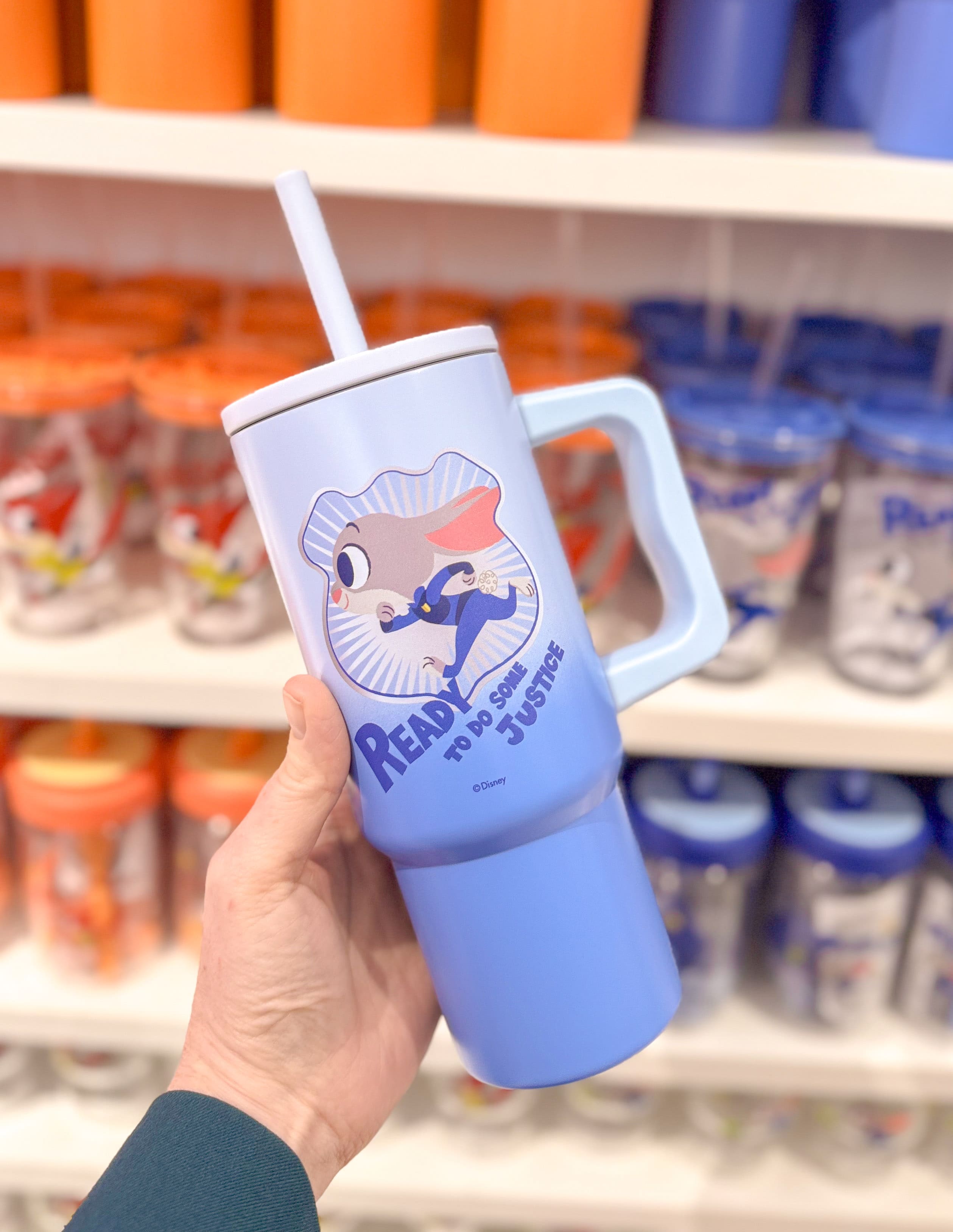 Zootrpolis water bottle