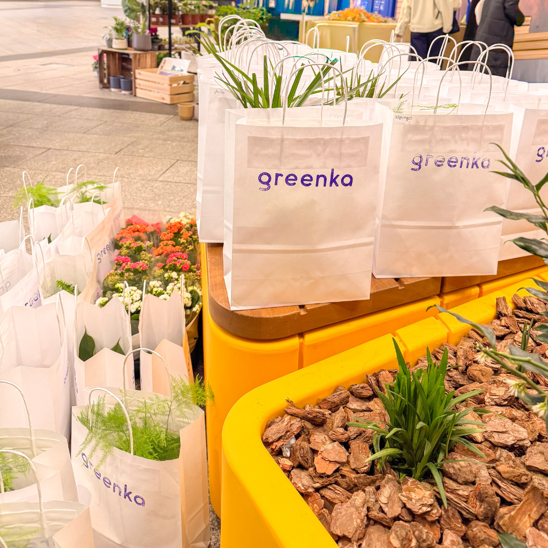 Greenka Plant Giveaway Ealing Broadway plants in bags