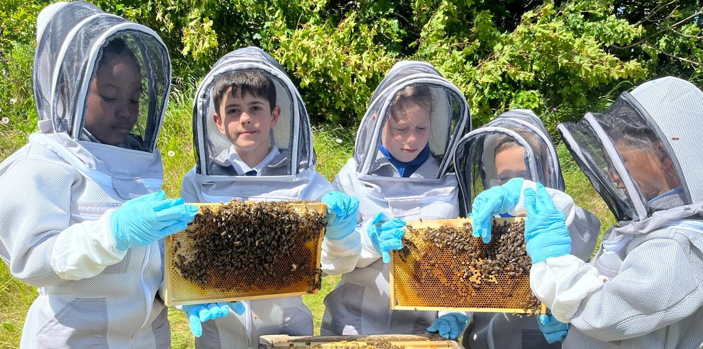 Pupils take part in beekeeping