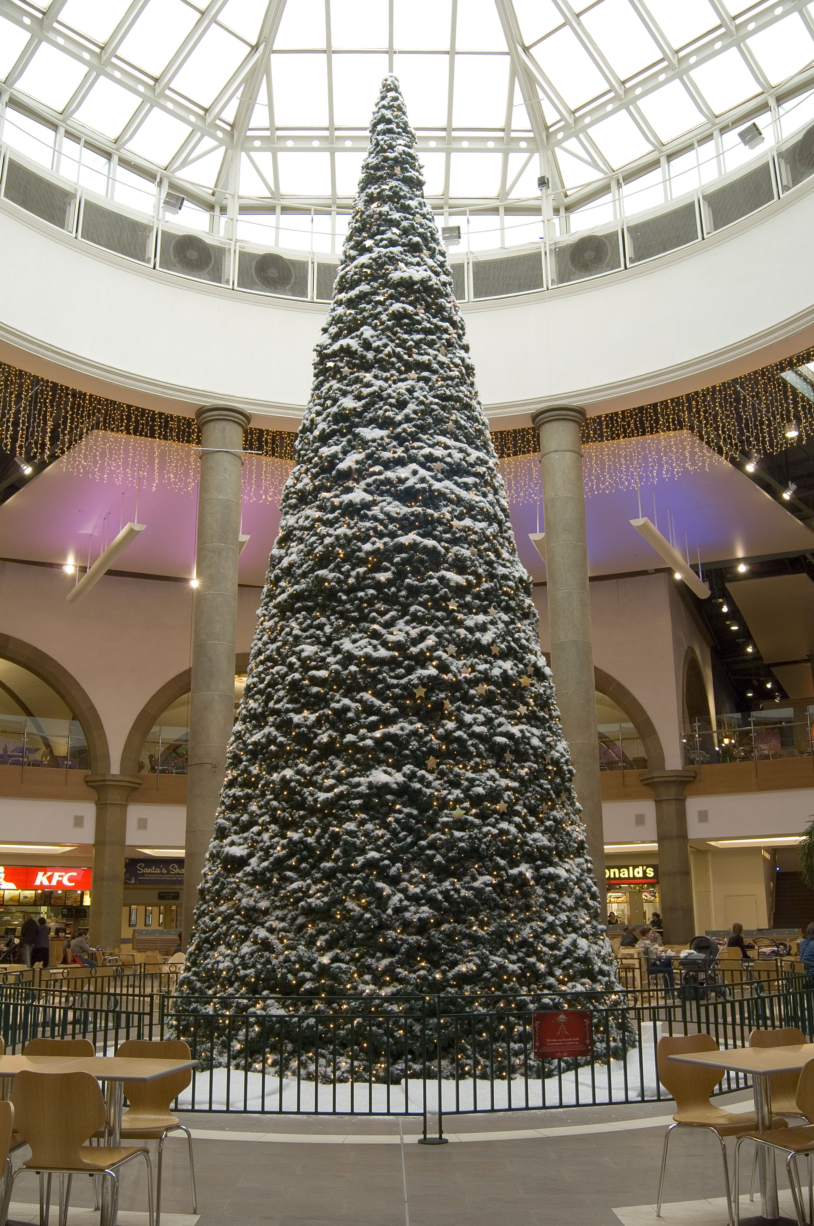 A big christmas tree in the Oasis at Meadowhall