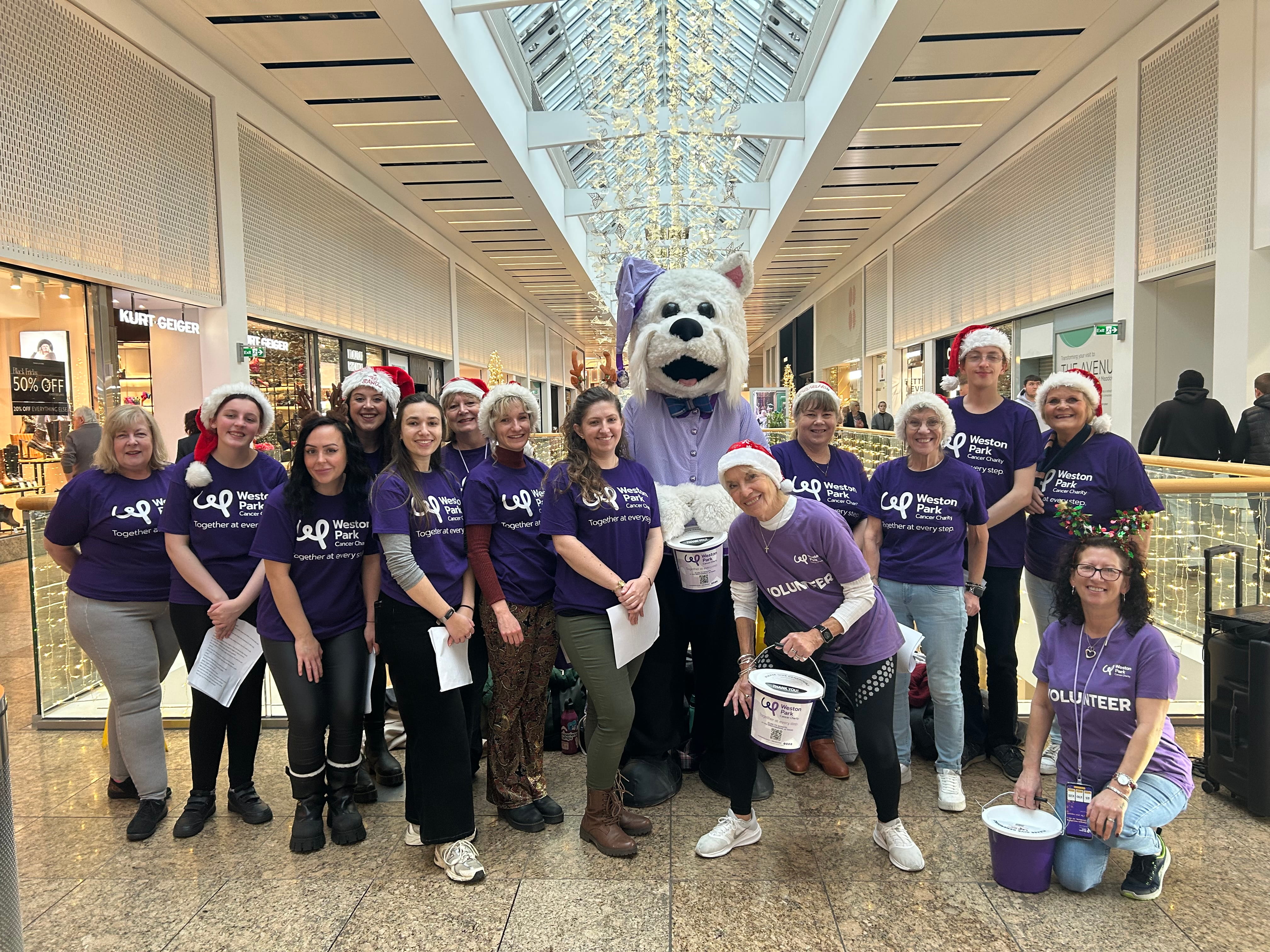 This image shows a large group of volunteers and a mascot participating in a festive fundraising event for Weston Park Cancer Charity.
