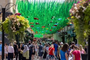 Step into SouthGate’s Secret Forest