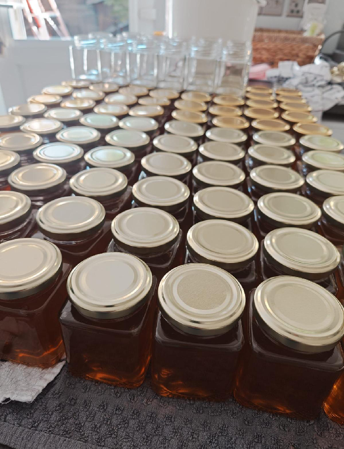 The Whiteley Bees