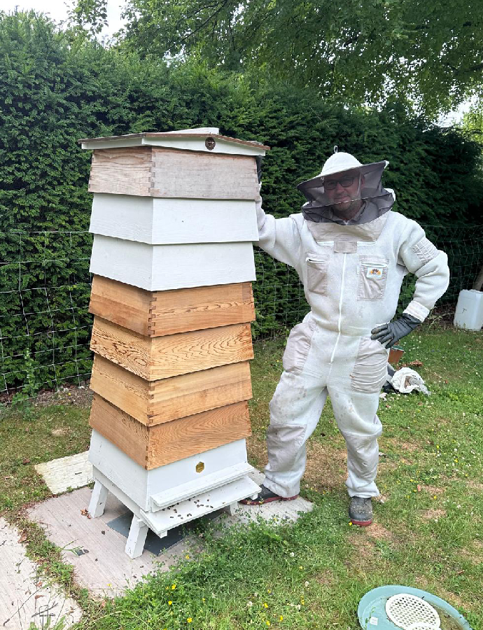 The Whiteley Bees