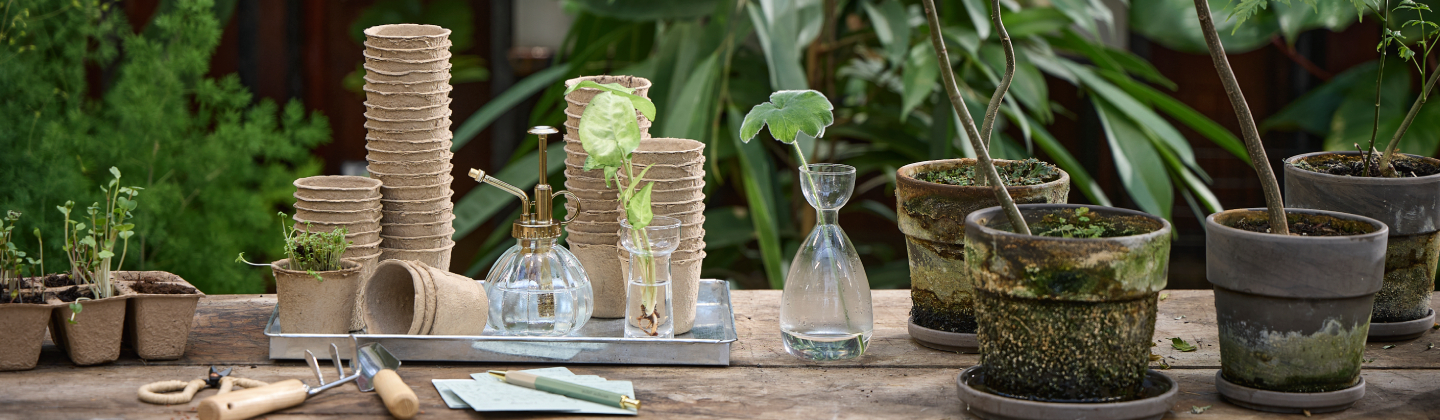 This image captures a serene and organized gardening workspace, likely a potting bench, filled with tools and materials for nurturing young plants. The aesthetic is rustic and 