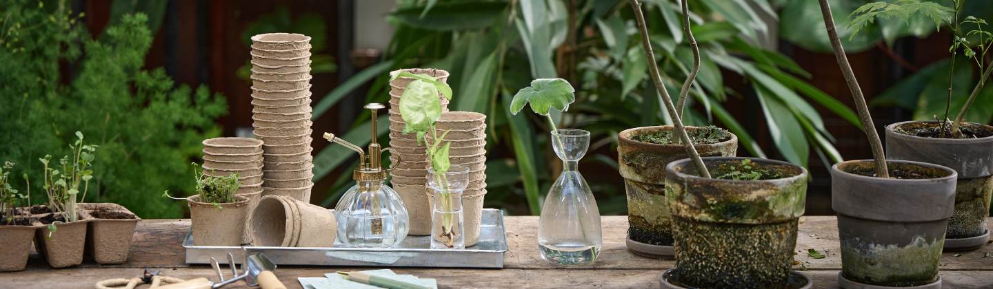 A selection of glass vases on a wooden table with plants i the background